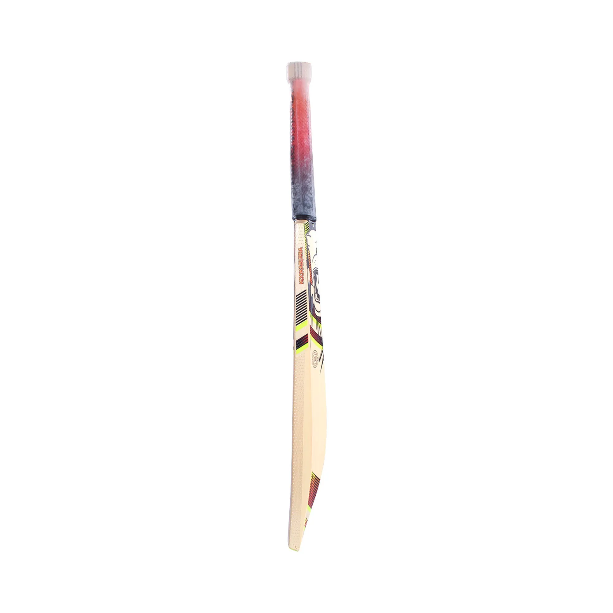 Beast 5.1 Junior Cricket Bat