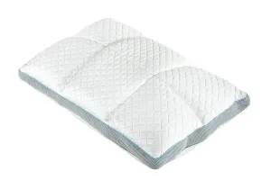 Polar Nova Queen Size Deluxe Cooling Gel Memory Foam Pillow in White